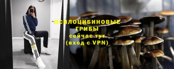 не бодяженный Пересвет